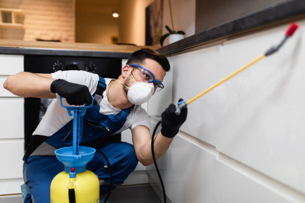 Best Pest Control Near Me in East Porterville, CA