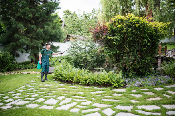 Best Commercial Pest Control Services  in East Porterville, CA