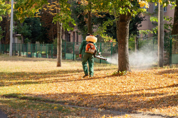 Pest Control Cost in East Porterville, CA